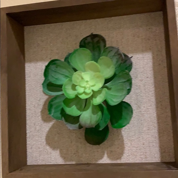 Meet your Posher, Lidia - Picture 1 of 1